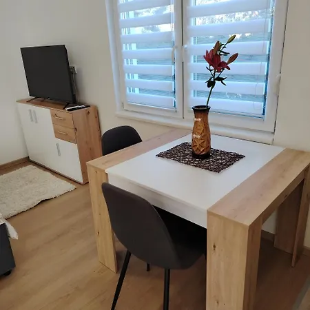 Apartment Elena Airport *