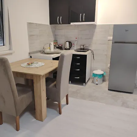 Apartment Elena Airport Surcin