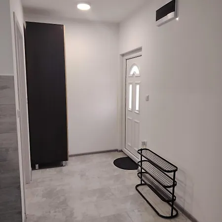 Elena Airport Surcin